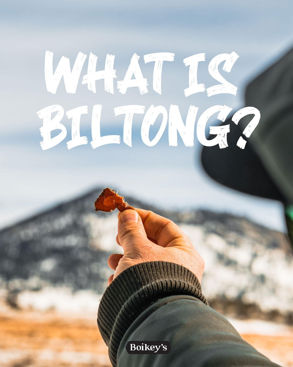 What is Biltong, Biltong Blog